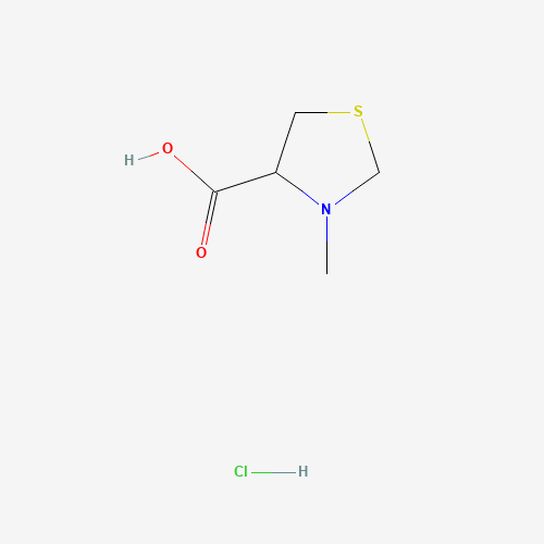 3-Methylthiazolidine-4-carboxylic acid hydrochloride