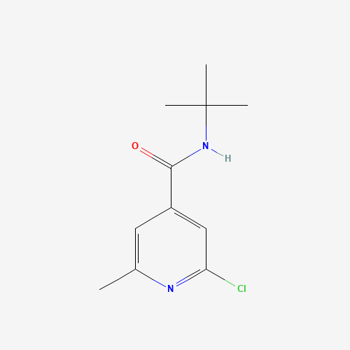 N-(tert-Butyl)-2-chloro-6-methylisonicotinamide