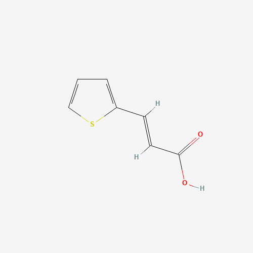 3-(Thiophen-2-yl)acrylic acid