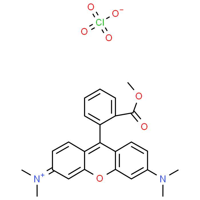 Tetramethylrhodamine Methyl Ester Perchlorate