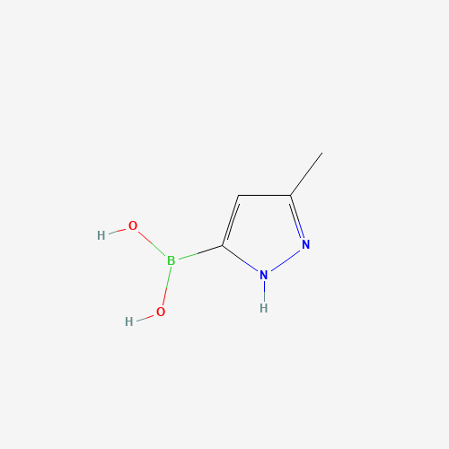 (5-Methyl-1H-pyrazol-3-yl)boronic acid