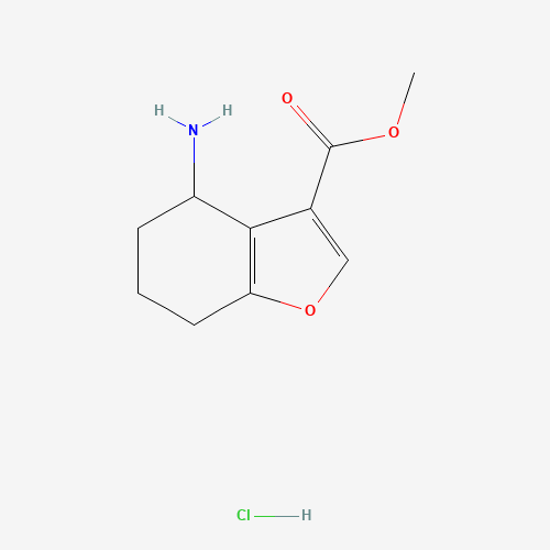 Methyl 4-amino-4,5,6,7-tetrahydrobenzofuran-3-carboxylate hydrochloride