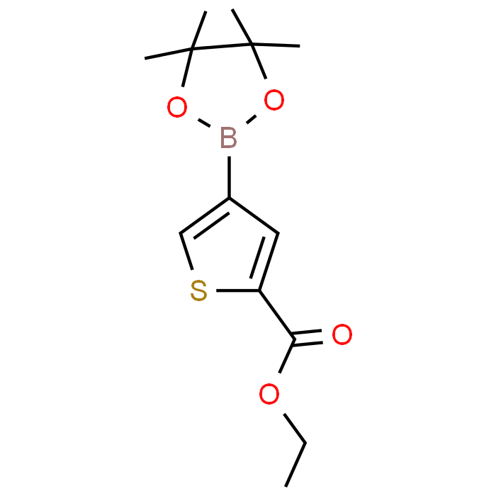 Ethyl 4-(4,4,5,5-tetramethyl-1,3,2-dioxaborolan-2-yl)thiophene-2-carboxylate - Achmem