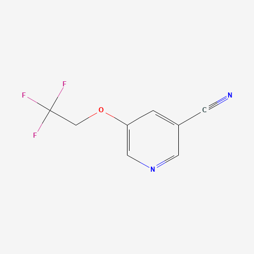 5-(2,2,2-Trifluoroethoxy)nicotinonitrile