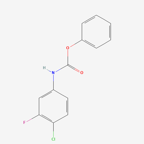 Phenyl (4-chloro-3-fluorophenyl)carbamate