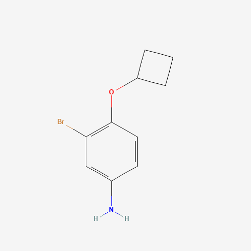 3-Bromo-4-cyclobutoxyaniline