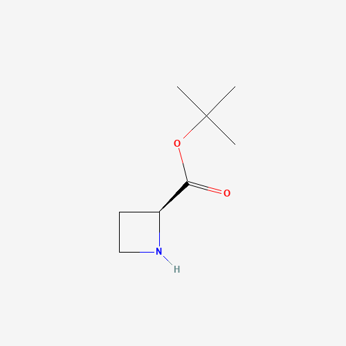 (S)-tert-Butyl azetidine-2-carboxylate