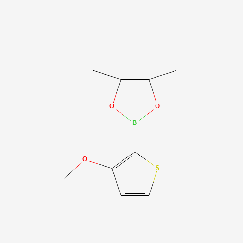 2-(3-Methoxythiophen-2-yl)-4,4,5,5-tetramethyl-1,3,2-dioxaborolane