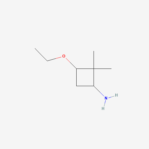 3-ethoxy-2,2-dimethylcyclobutan-1-amine