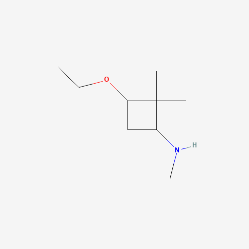 3-ethoxy-N,2,2-trimethylcyclobutan-1-amine