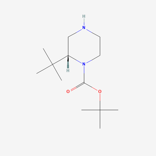 (R)-tert-Butyl 2-(tert-butyl)piperazine-1-carboxylate