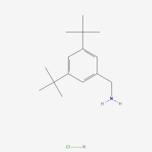 (3,5-Di-tert-butylphenyl)methanamine hydrochloride