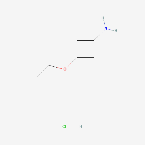 cis-3-Ethoxycyclobutanamine hydrochloride