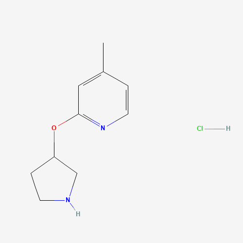 4-Methyl-2-(pyrrolidin-3-yloxy)pyridine hydrochloride