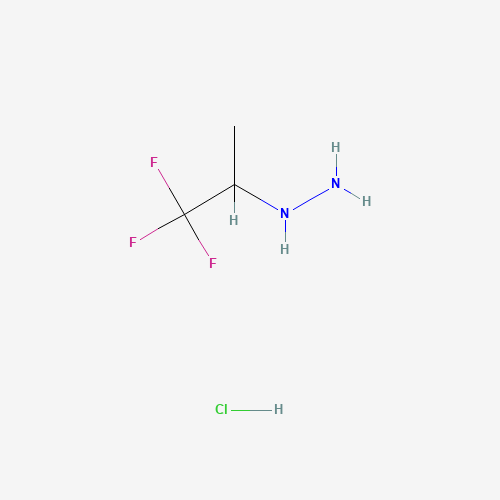 (1,1,1-Trifluoropropan-2-yl)hydrazine hydrochloride