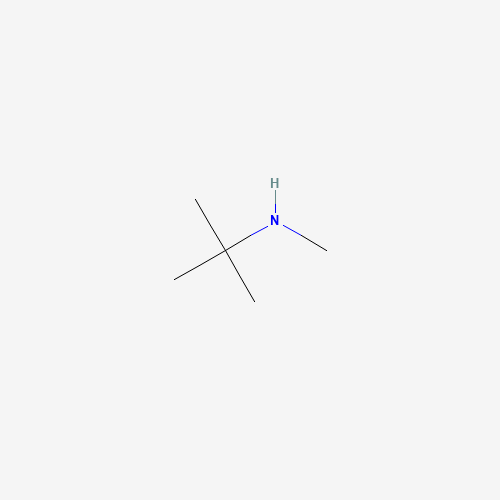 N-Methyl-tert-butylamine
