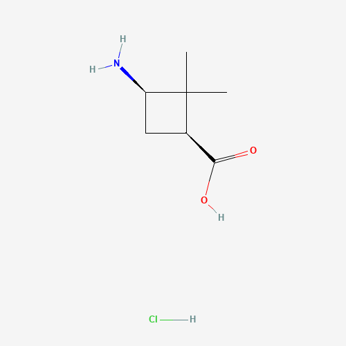 (1S,3R)-3-Amino-2,2-dimethylcyclobutanecarboxylic acid hydrochloride