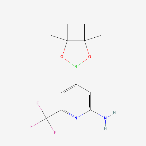 4-(4,4,5,5-Tetramethyl-1,3,2-dioxaborolan-2-yl)-6-(trifluoromethyl)pyridin-2-amine