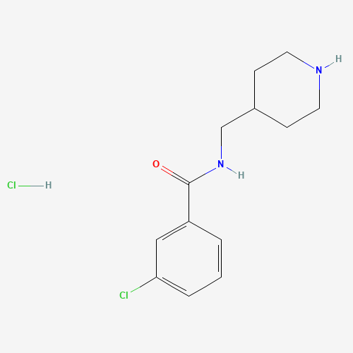 3-Chloro-N-(piperidin-4-ylmethyl)benzamide hydrochloride