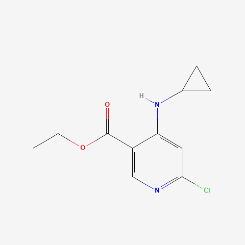 Ethyl 6-chloro-4-(cyclopropylamino)nicotinate