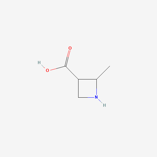 2-Methylazetidine-3-carboxylic acid