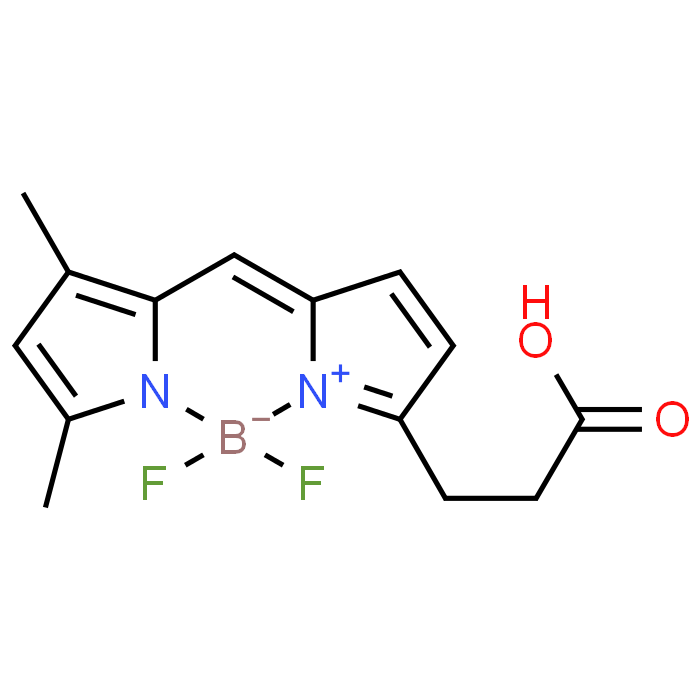 BDP FL