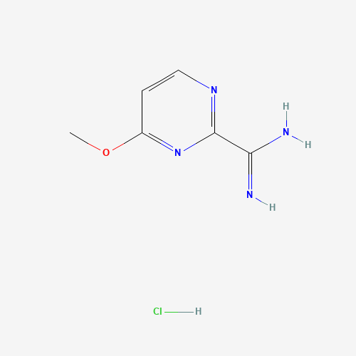 4-Methoxypyrimidine-2-carboximidamide hydrochloride