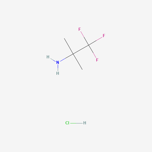 1,1,1-Trifluoro-2-methylpropan-2-amine hydrochloride