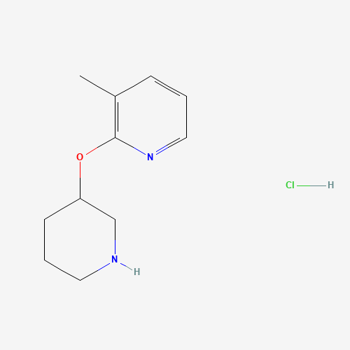 3-Methyl-2-(piperidin-3-yloxy)pyridine hydrochloride