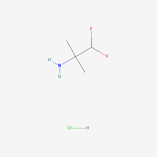 1,1-Difluoro-2-methylpropan-2-amine hydrochloride