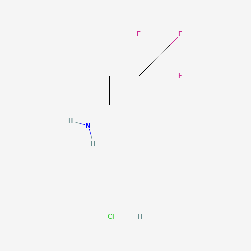 3-(Trifluoromethyl)cyclobutan-1-amine HCl