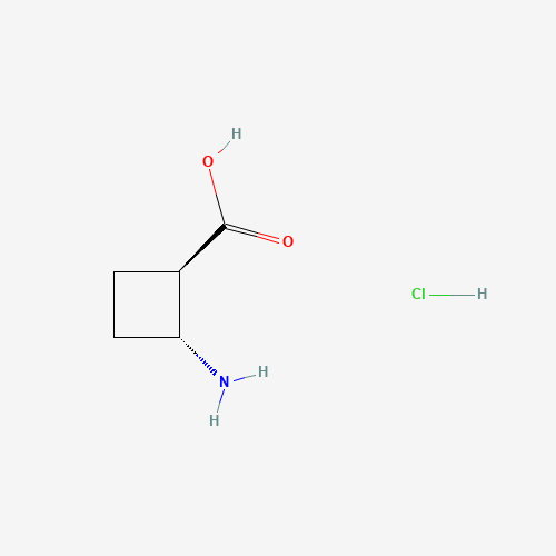 trans-2-Aminocyclobutanecarboxylic acid hydrochloride