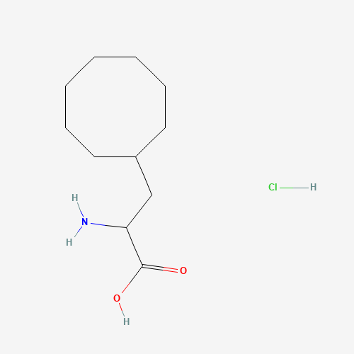 2-Amino-3-cyclooctylpropanoic acid hydrochloride