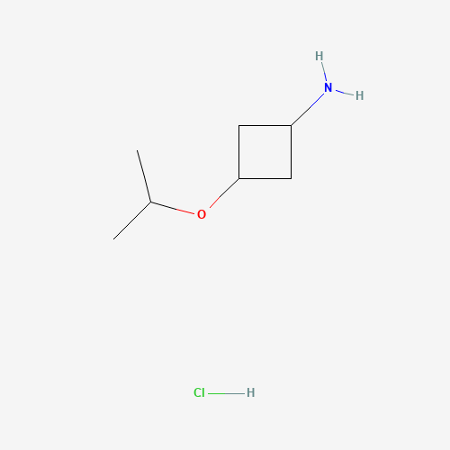 cis-3-(propan-2-yloxy)cyclobutan-1-amine hydrochloride