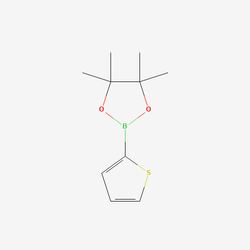 2-Thiopheneboronic acid pinacol ester