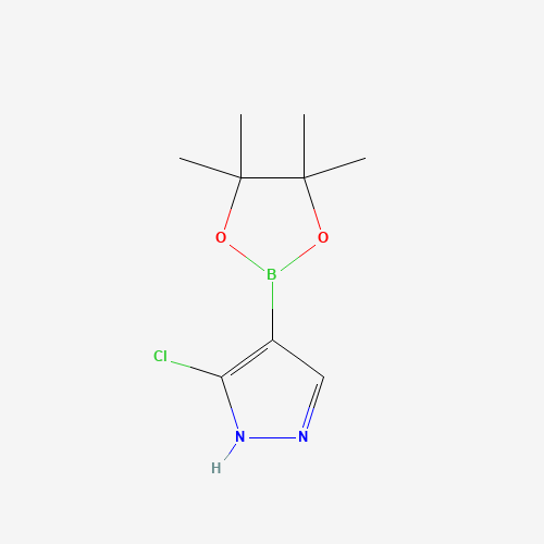 3-Chloro-4-(4,4,5,5-tetramethyl-1,3,2-dioxaborolan-2-yl)-1H-pyrazole