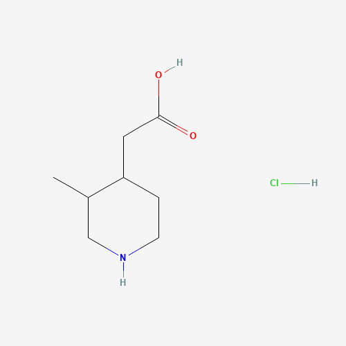 2-(3-Methylpiperidin-4-yl)acetic acid hydrochloride