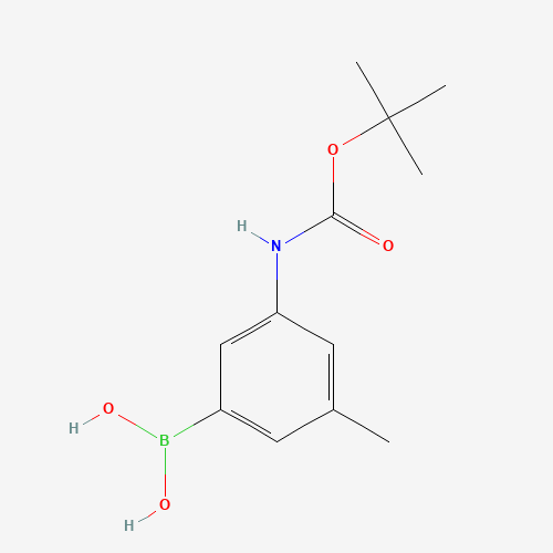 (3-((tert-Butoxycarbonyl)amino)-5-methylphenyl)boronic acid