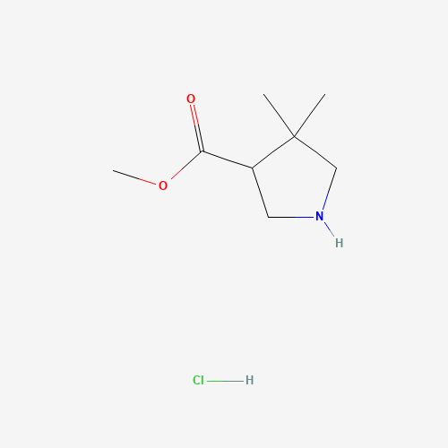 Methyl 4,4-dimethylpyrrolidine-3-carboxylate hydrochloride - Achmem