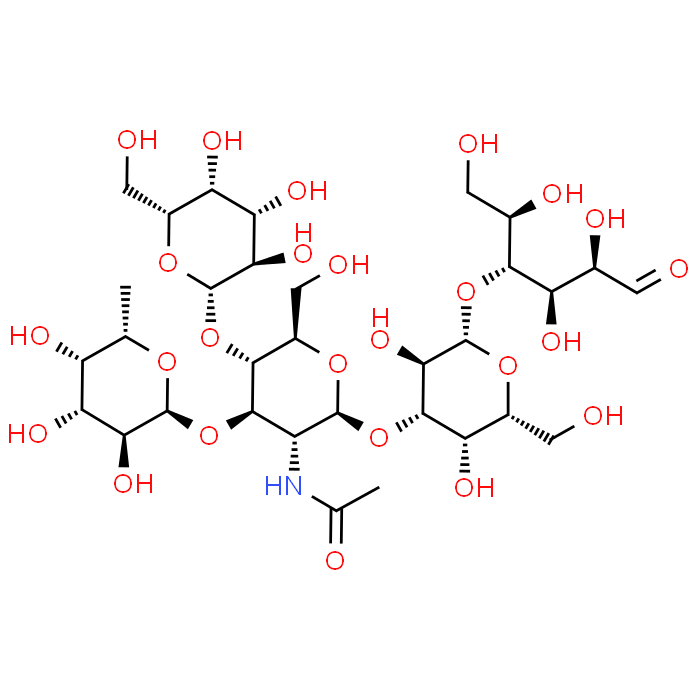 Lacto-N-fucopentaose III
