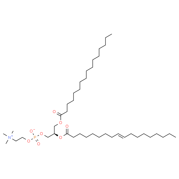 (R,Z)-2-(Oleoyloxy)-3-(palmitoyloxy)propyl (2-(trimethylammonio)ethyl) phosphate