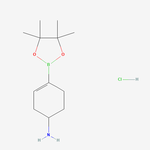 4-(4,4,5,5-Tetramethyl-1,3,2-dioxaborolan-2-yl)cyclohex-3-en-1-amine hydrochloride