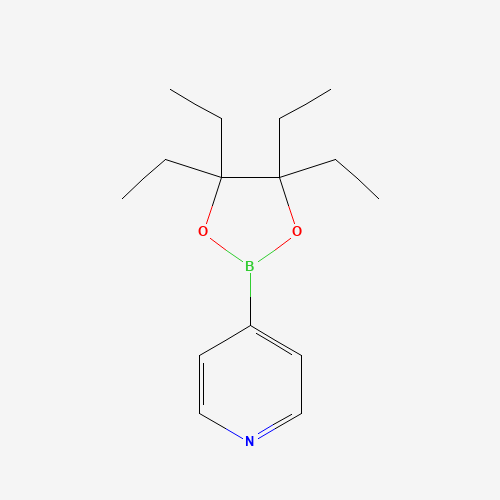 4-(4,4,5,5-Tetraethyl-1,3,2-dioxaborolan-2-yl)pyridine