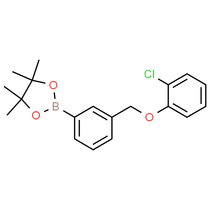 2-(3-((2-Chlorophenoxy)methyl)phenyl)-4,4,5,5-tetramethyl-1,3,2-dioxaborolane