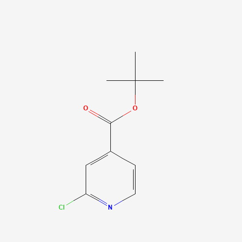 tert-Butyl 2-chloroisonicotinate
