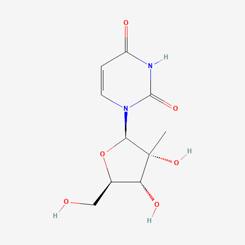 2'-C-methyluridine