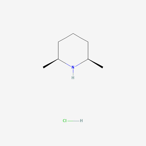 cis-2,6-Dimethylpiperidine hydrochloride