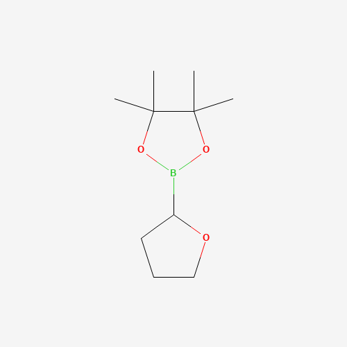 4,4,5,5-Tetramethyl-2-(tetrahydrofuran-2-yl)-1,3,2-dioxaborolane