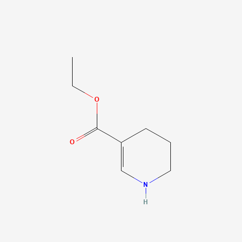 Ethyl 1,4,5,6-tetrahydropyridine-3-carboxylate