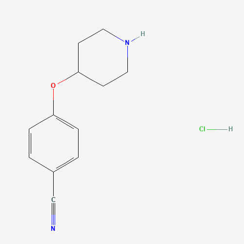 4-(Piperidin-4-yloxy)benzonitrile hydrochloride